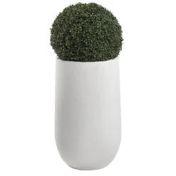 50" Boxwood Ball in Round White Resin Planter