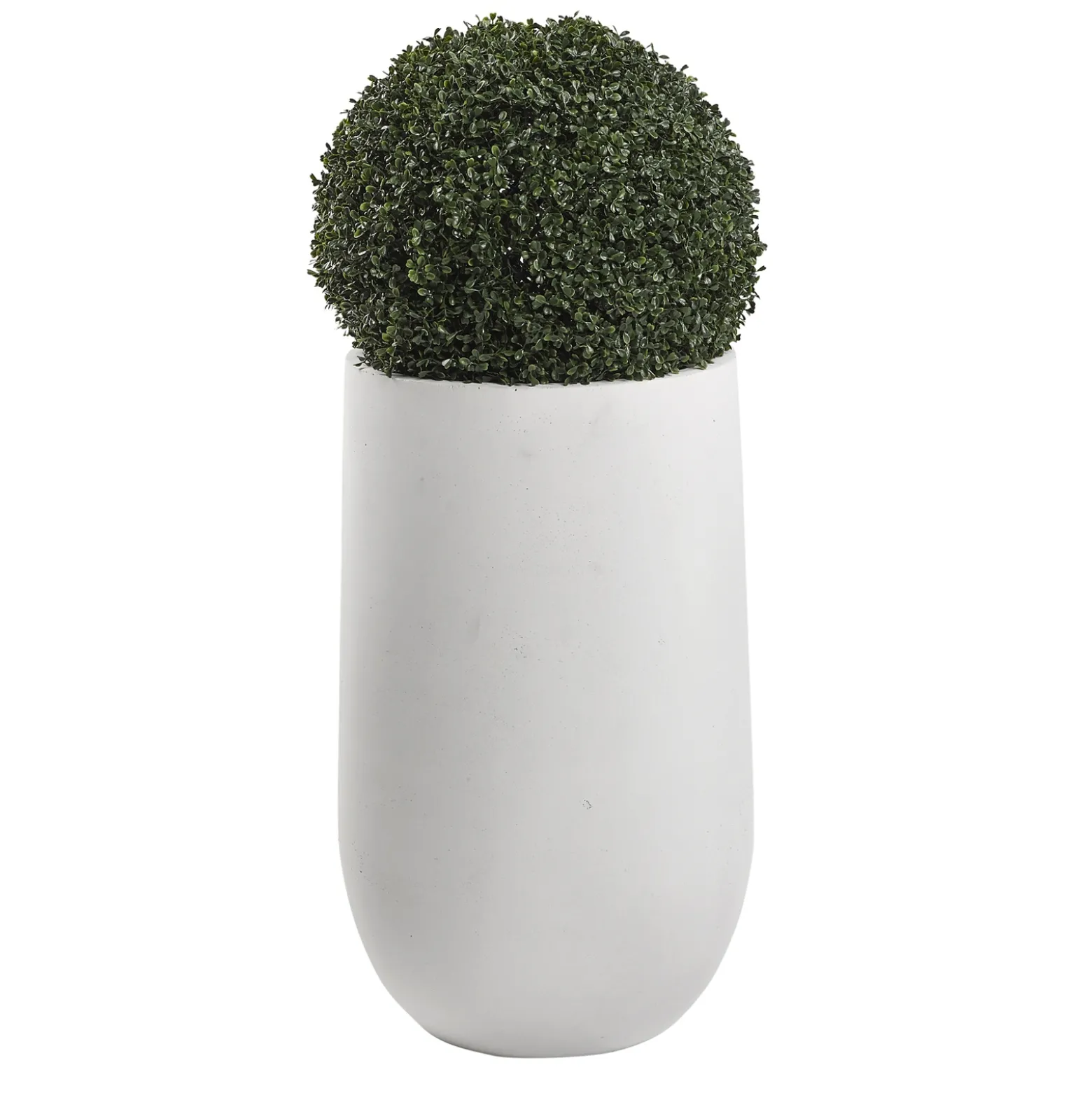 50" Boxwood Ball in Round White Resin Planter