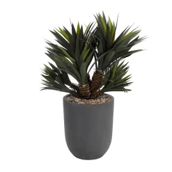 42" Star Succulent Plant in Grey Cement Planter
