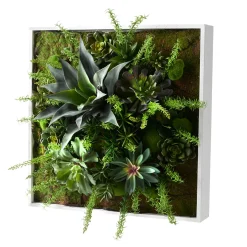 Assorted Succulents and Foliage in 24x24 White Box