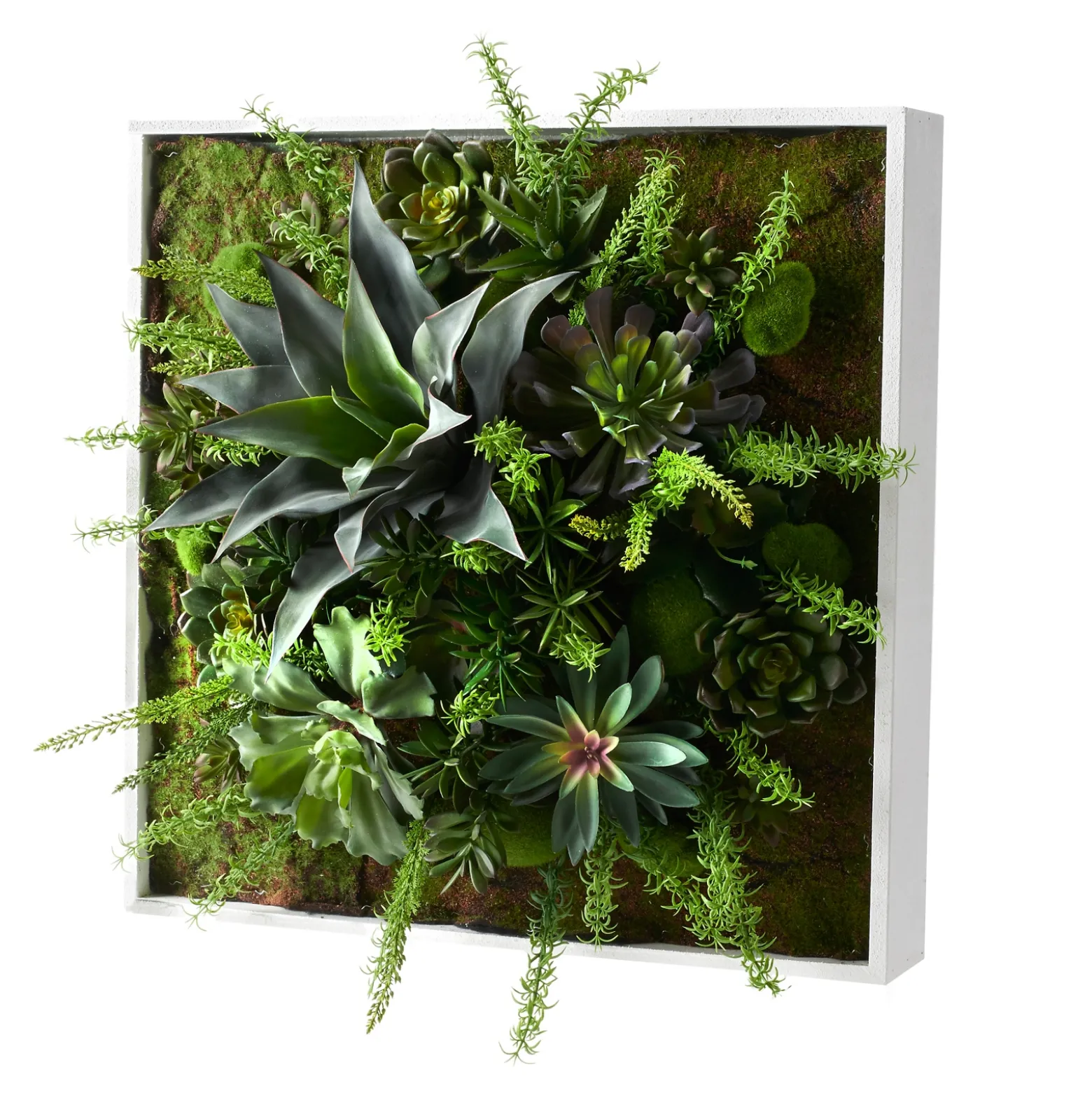 Assorted Succulents and Foliage in 24x24 White Box