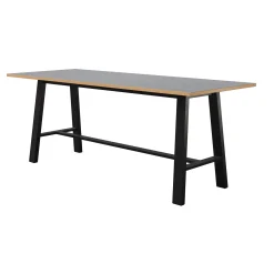Bayside 9' Standing-height Table With Premium Laminate - 108"Wx42"D