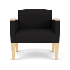 Belmont Oversized Guest Chair in Print Fabric or Antimicrobial Vinyl
