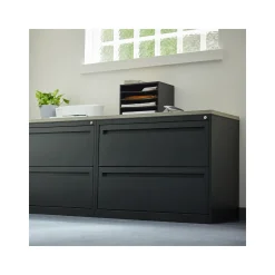 Carbon Lateral File 36"Wx18"D