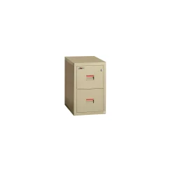 Compact Two Drawer Vertical Fireproof File - 22"D