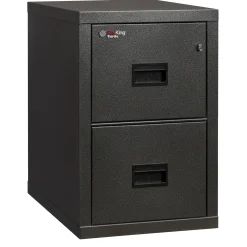 Compact Two Drawer Vertical Fireproof File - 22"D