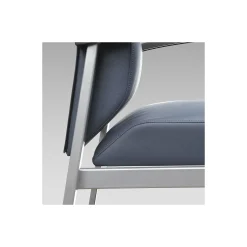 Compass Oversized Guest Chair with Arms