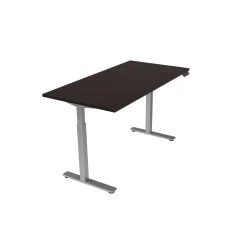 Contemporary Height Adjustable Desk 48”Wx24”D
