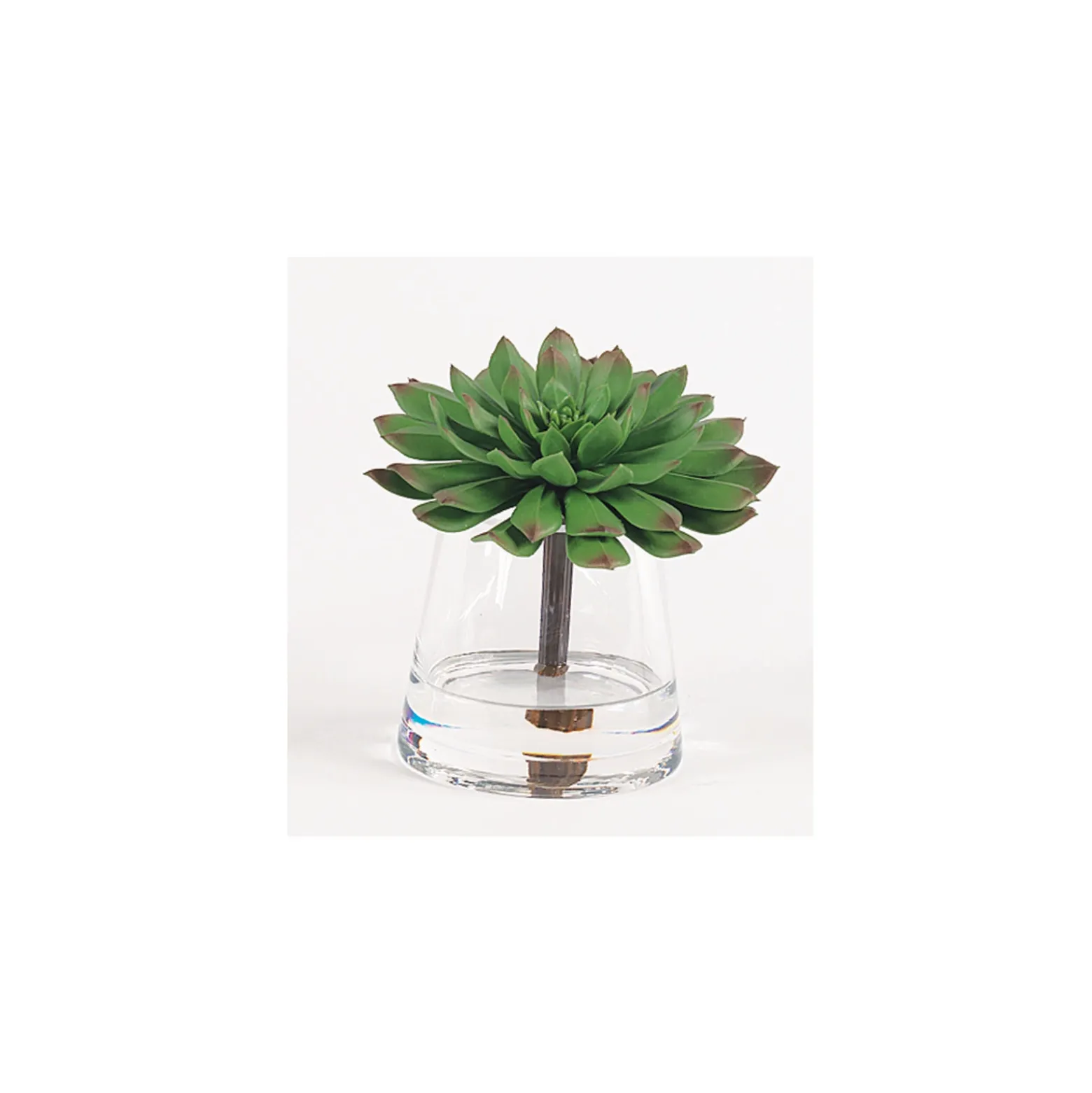 Deep Green Succulent Accent - 7"