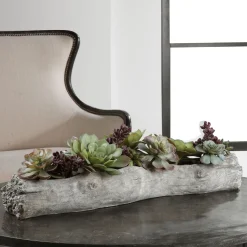 Driftwood Succulents