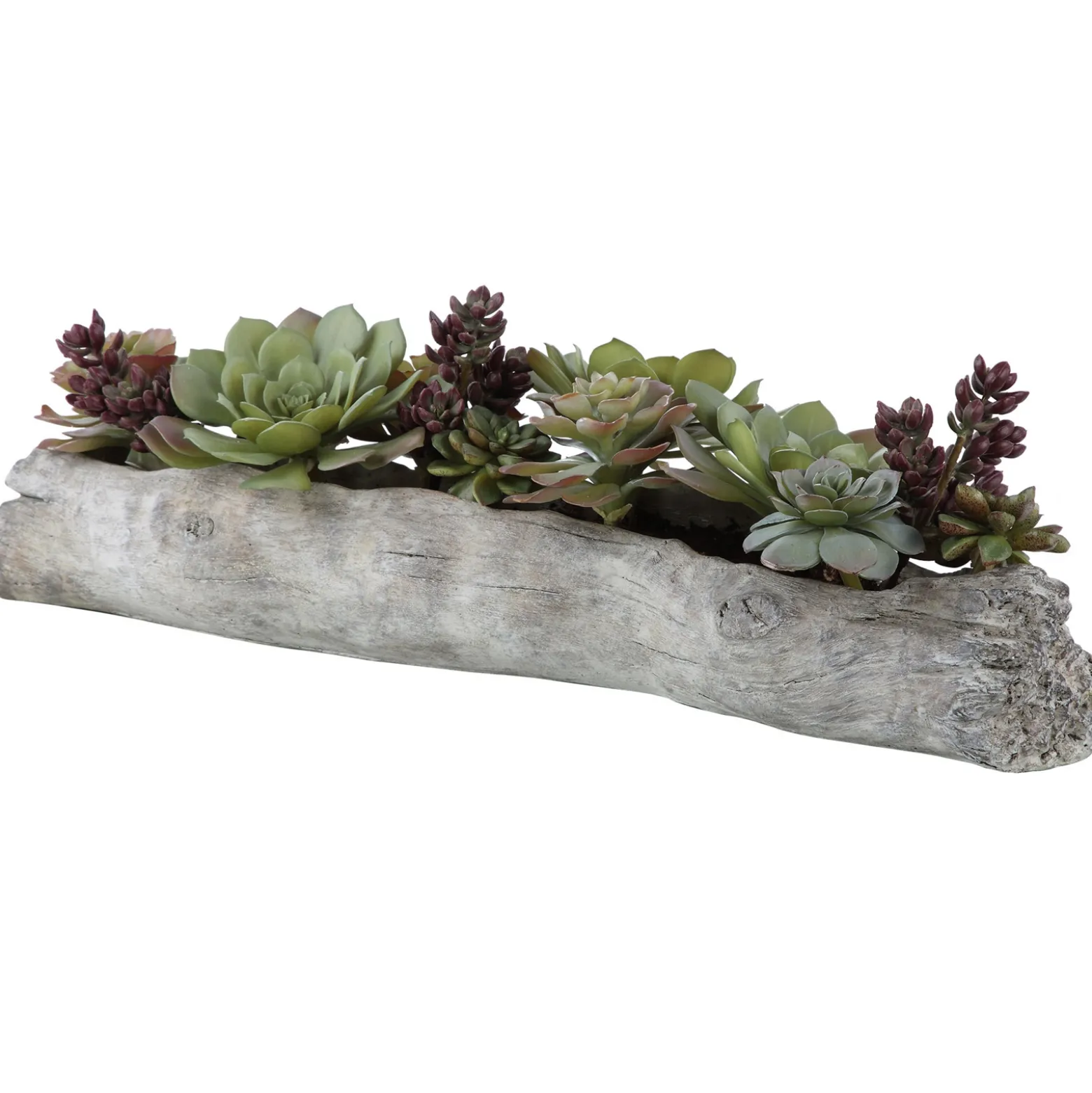 Driftwood Succulents