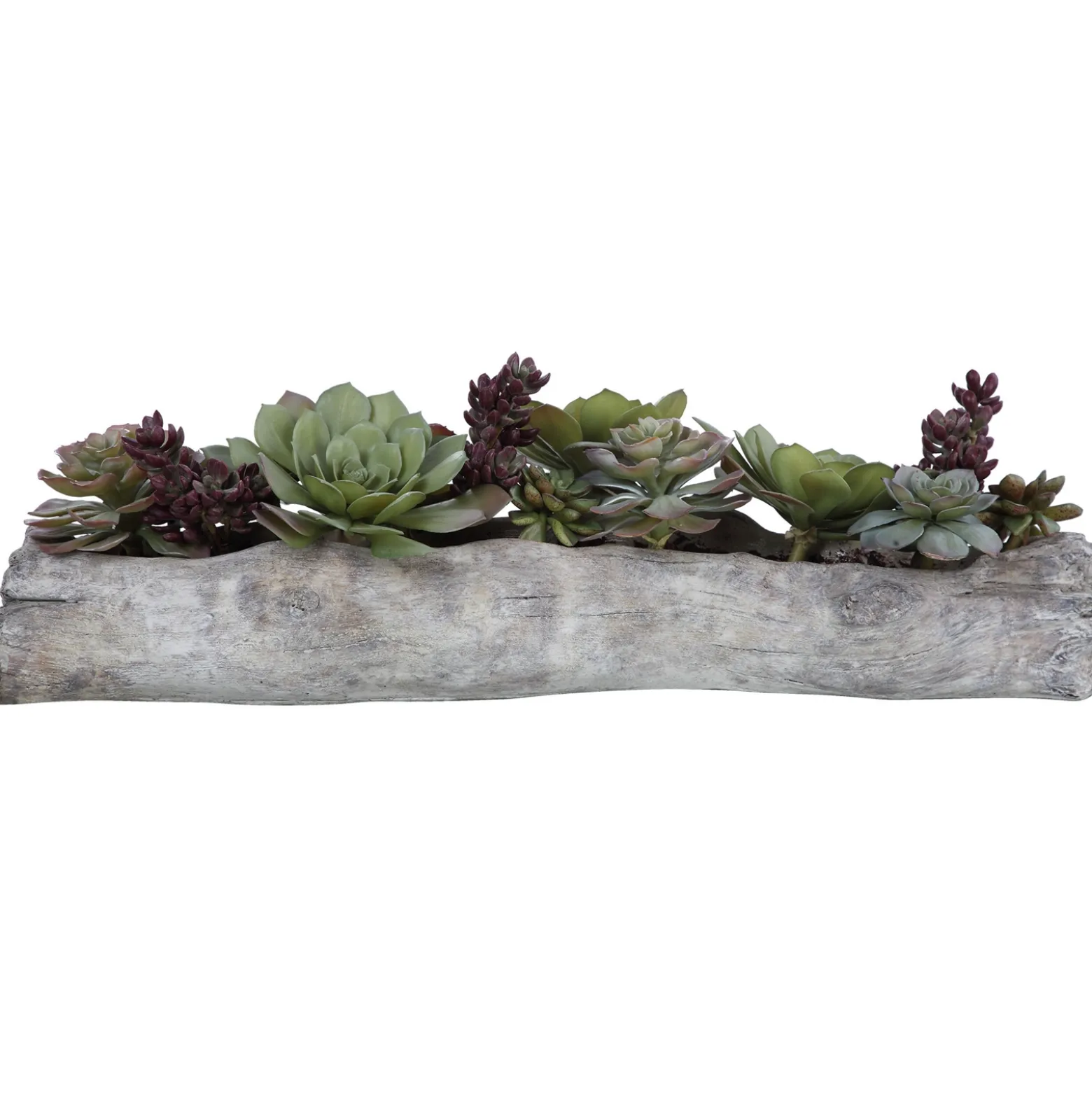 Driftwood Succulents