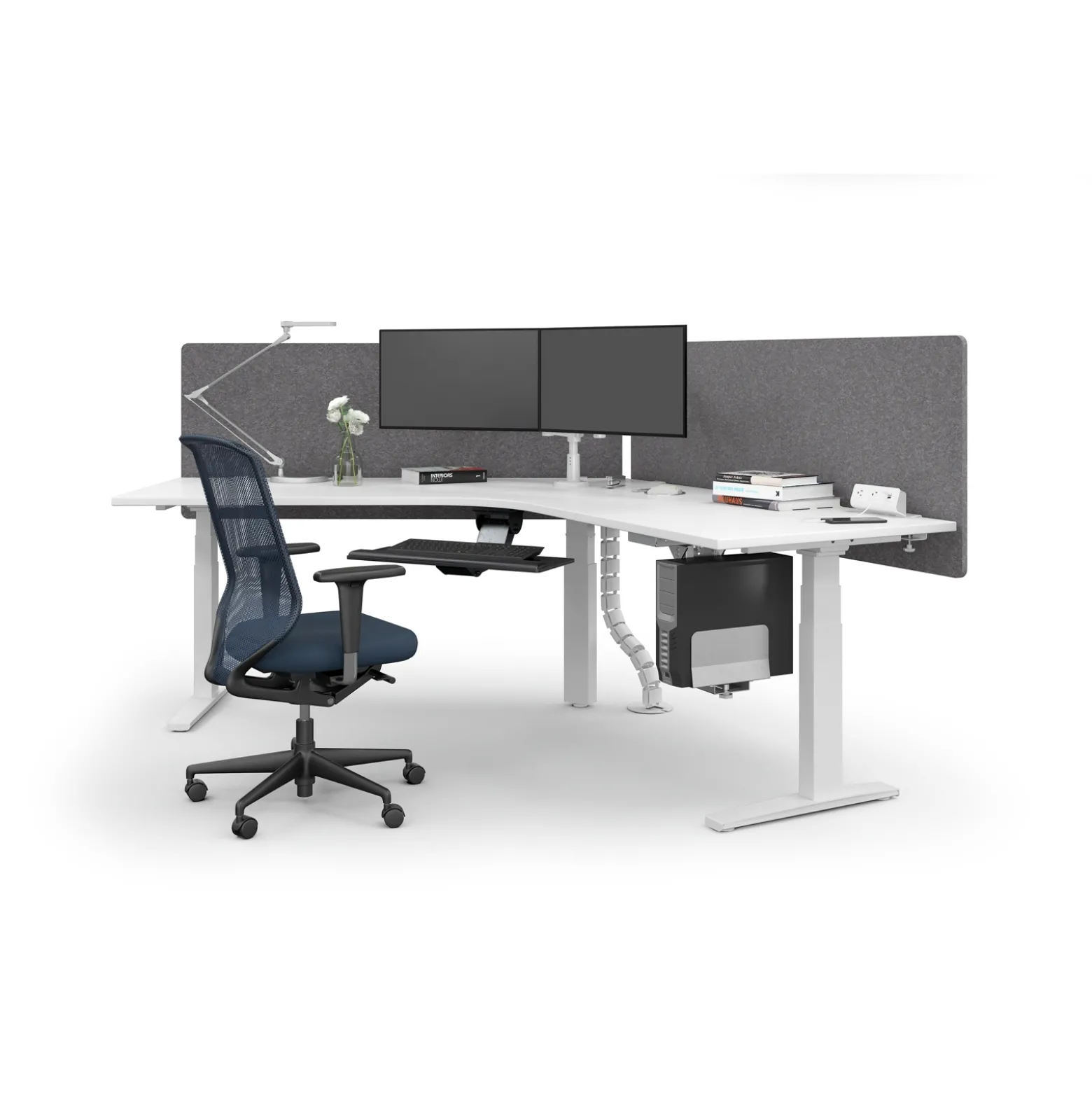 Dual VESA Monitor Arms