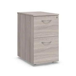 Endure 27.25"H 2-Drawer Mobile File Pedestal