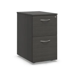Endure 27.25"H 2-Drawer Mobile File Pedestal
