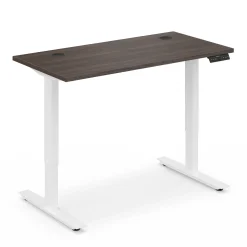 Ergo Desk Height Adjustable Standing Desk - 48"W x 24"D