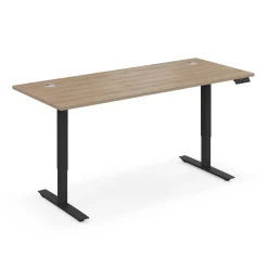 Ergo Desk Height Adjustable Standing Desk - 72