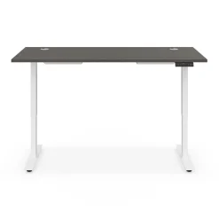 Ergo Desk Height Adjustable Standing Desk - 66