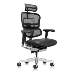Ergohuman Ergonomic High Mesh Back Leather Seat Executive Chair with Headrest