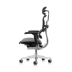 Ergohuman Ergonomic High Mesh Back Leather Seat Executive Chair with Headrest
