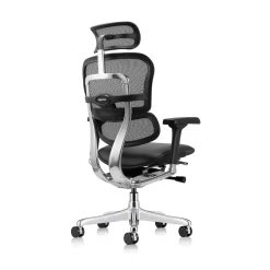 Ergohuman Ergonomic High Mesh Back Leather Seat Executive Chair with Headrest