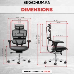 Ergohuman Ergonomic High Mesh Back Leather Seat Executive Chair with Headrest