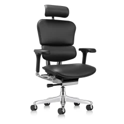 Ergohuman Ergonomic High-back Leather Chair with Headrest