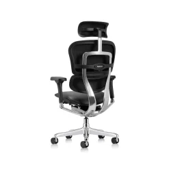 Ergohuman Ergonomic High-back Leather Chair with Headrest