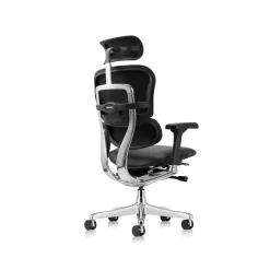 Ergohuman Ergonomic High-back Leather Chair with Headrest