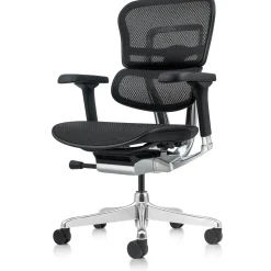 Ergohuman Ergonomic Mid Back Mesh Chair