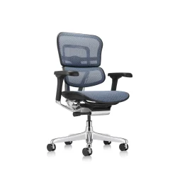 Ergohuman Ergonomic Mid Back Mesh Chair
