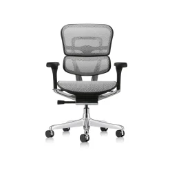 Ergohuman Ergonomic Mid Back Mesh Chair
