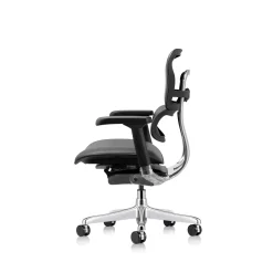 Ergohuman Ergonomic Mid Back Leather Chair
