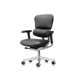 Ergohuman Ergonomic Mid Back Leather Chair