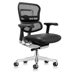 Ergohuman Ergonomic Mid Mesh Back Leather Seat Chair