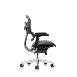 Ergohuman Ergonomic Mid Mesh Back Leather Seat Chair