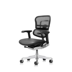 Ergohuman Ergonomic Mid Mesh Back Leather Seat Chair