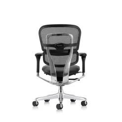 Ergohuman Ergonomic Mid Mesh Back Leather Seat Chair