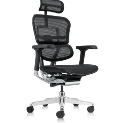 Ergohuman Mesh Ergonomic High-Back Office Chair