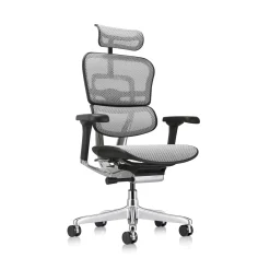Ergohuman Mesh Ergonomic High-Back Office Chair