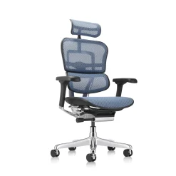 Ergohuman Mesh Ergonomic High-Back Office Chair