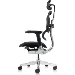 Ergohuman Mesh Ergonomic High-Back Office Chair