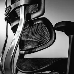 Ergohuman Mesh Ergonomic High-Back Office Chair