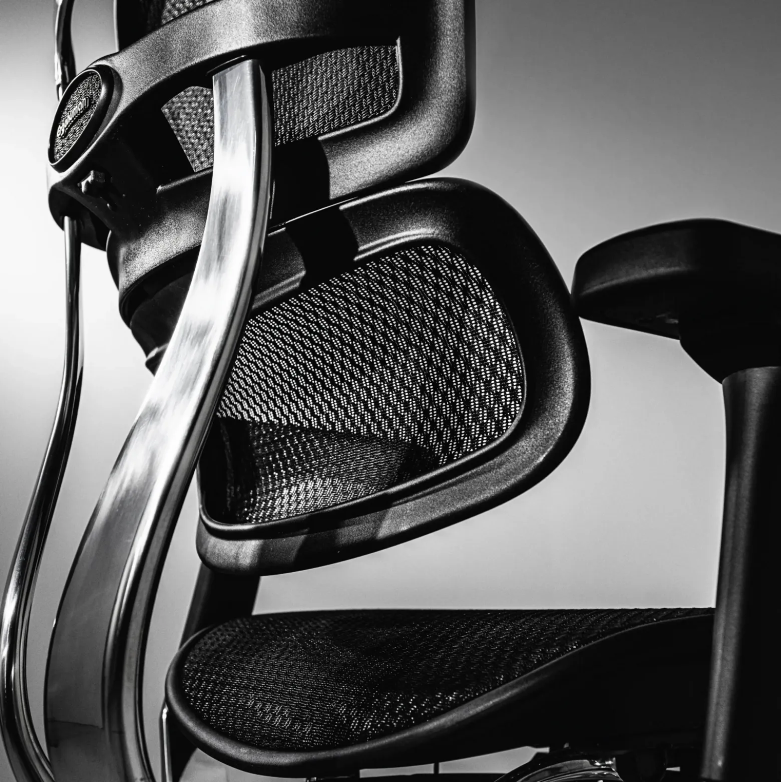 Ergohuman Mesh Ergonomic High-Back Office Chair