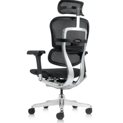 Ergohuman Mesh Ergonomic High-Back Office Chair