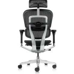 Ergohuman Mesh Ergonomic High-Back Office Chair
