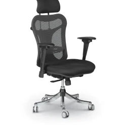 Ergonomic Executive Chair with Headrest