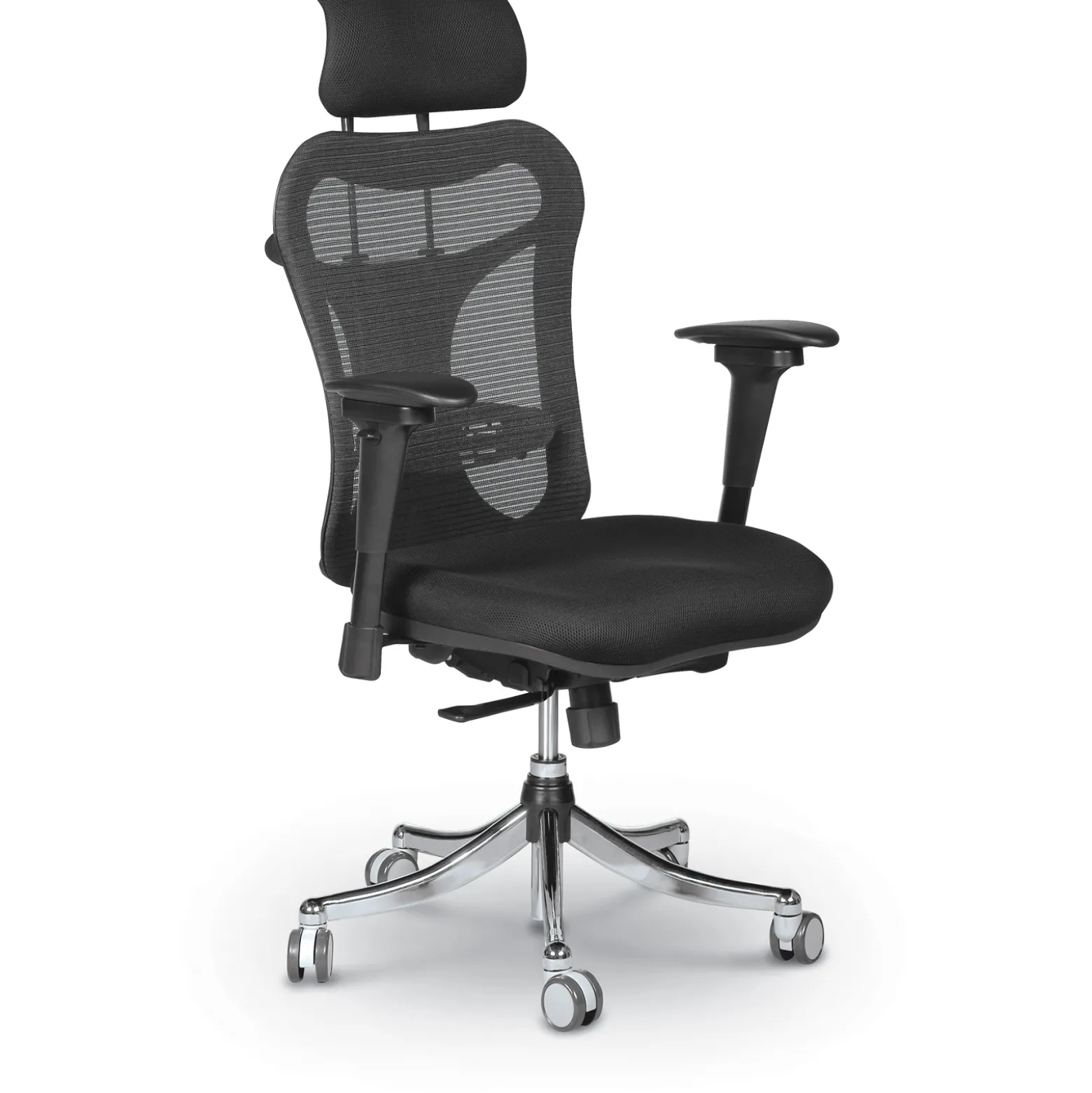 Ergonomic Executive Chair with Headrest