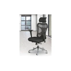 Ergonomic Executive Chair with Headrest