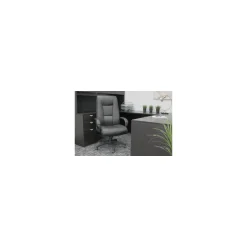 Executive High Back Leather Chair with Padded Arms and Adjustable Seat